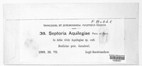 Septoria aquilegiae image